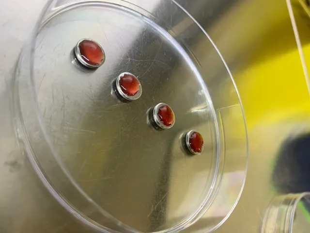 QBI Indicator 4