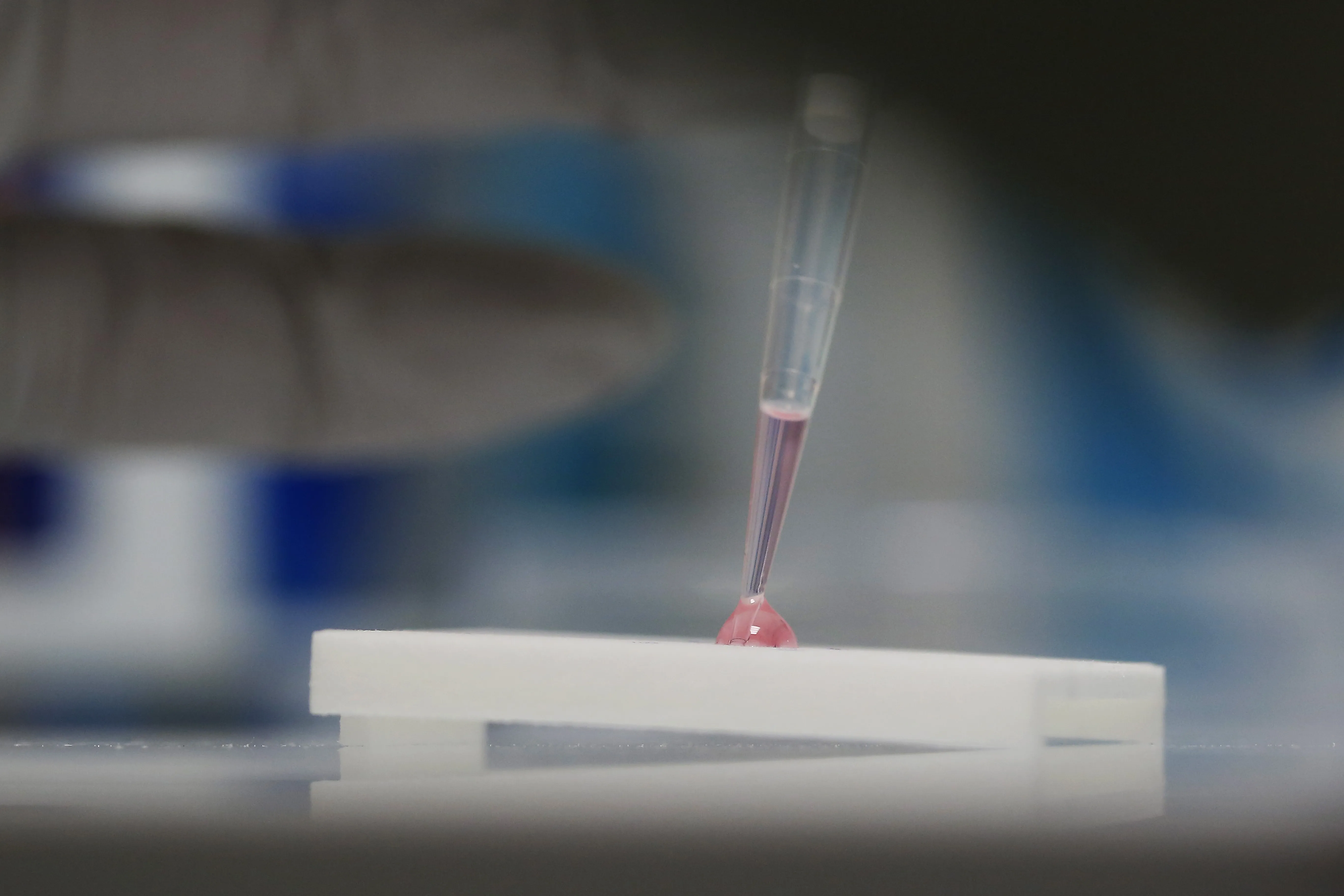 Tests de laboratoire