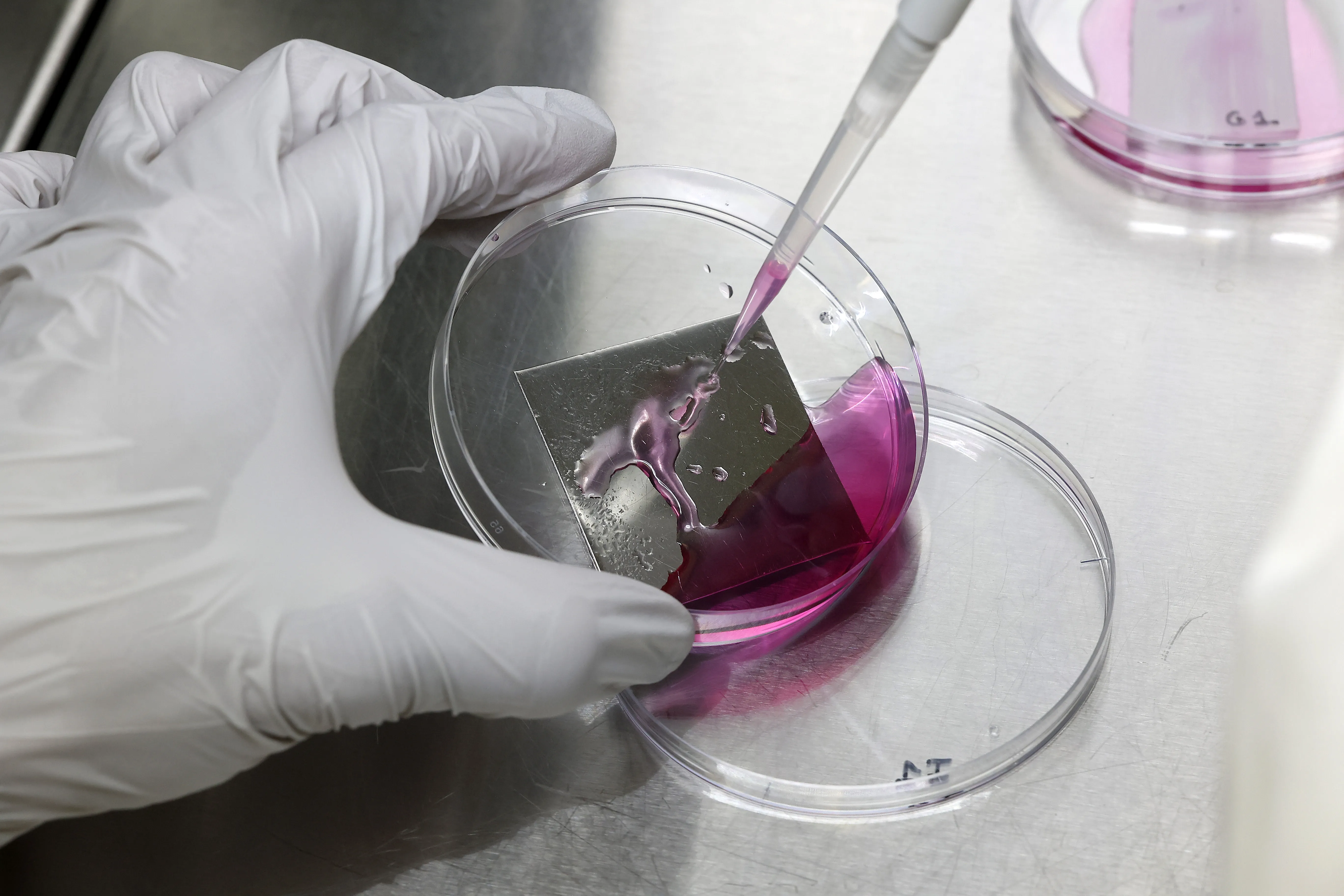 Tests de laboratoire